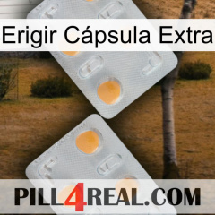 Erigir Cápsula Extra 25